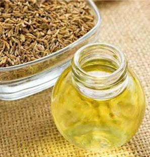 Co2 Extracted Ajowan Oil Manufacturer