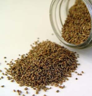 Manufacturer of Co2 Extract Ajowan Caraway Oleoresin India