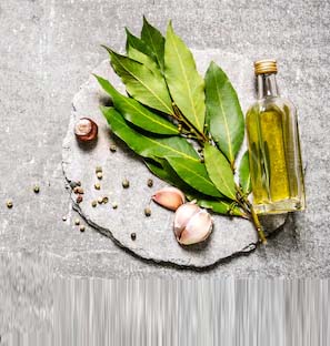Co2 Extraction Bay Leaf Oil Manufacturer, Supplier in India