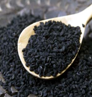 Supplier of Black Seed Co2 Extract Oleoresin