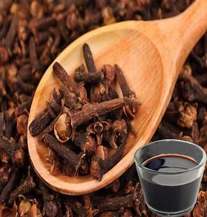 Clove Co2 Extract Oleoresin Supplier in India
