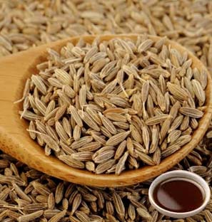 Cumin Co2 Extract Oleoresin Supplier in India