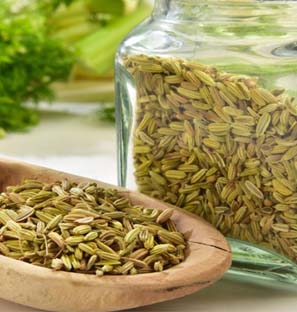 Fennel Co2 Extract Oleoresin Supplier in India