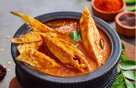 SCFE Co2 Fish Curry Masala Oleoresin, Manufacturer