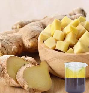 Ginger Co2 Extract Oleoresin Manufacturer in India